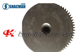 Shacman Delong F3000 eksen hızlı 12JSD160T 1707051 kaynak