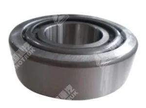 Sinotruk 32314 Konik Makaralı Rulman / Makaralı Rulman WG9100411014